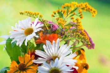Summer bouquet with mix of wild and decorative flowers, close-up photo with selective focus