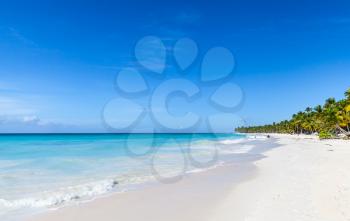 White empty sandy beach landscape. Caribbean Sea, Dominican republic, Saona island coast, popular touristic resort