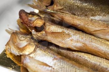 Roasted smelt fish macro. Traditional Russian spring seasonal dish