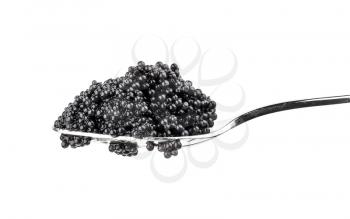 Black caviar in metal spoon. Macro photo isolated on white background