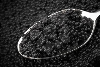 Luxury seafood theme. Black caviar and metal spoon, macro photo