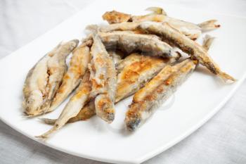 Pile of fried smelts fish lays on a white plate, closeup photo with selective focus and shallow DOF