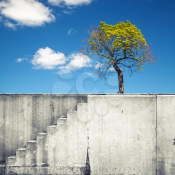White concrete wall with stairway and small tree above blue sky