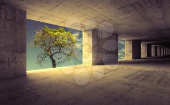 Empty abstract concrete interior with sky and small green tree