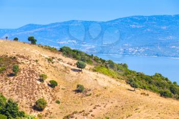 Summer coastal landscape of French mountainous island Corsica. Small trees grow on dry grass of coastal hill. Piana region, France