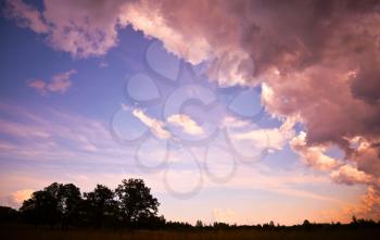 Beautiful pink summer sunset in the countryside