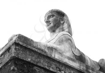 Ancient statue of Sphinx isolated on white background. Piazza del Popolo, old city center of Rome, Italy