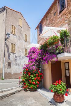 Decorative flowers on the narrow street of Piana town in bright summer day. Corsica island, France