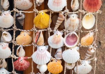 Colorful shells hanging on net, marine decoration 