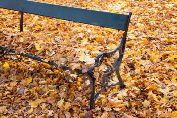 Wooden park bench with bright yellow autumn leaves