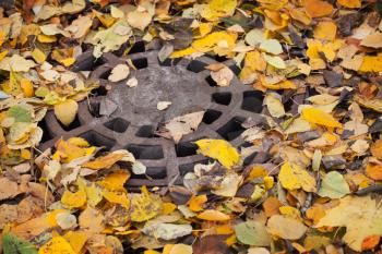 Round sewer manhole with autumnal leaves in the park