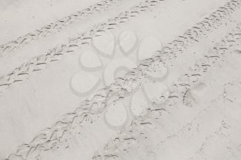 ATV tracks on the white sand beach