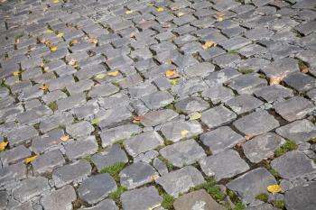 Gray granite stone pavement with autumnal leaves