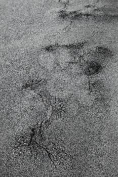 Dark asphalt road with cracks. Vertical background photo texture