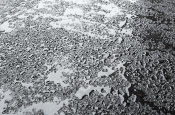 Water drops on wet black asphalt, transportation background texture