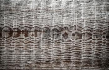 Detailed background texture of uncolored wooden board with nice pattern