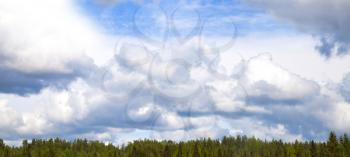 Cloudy sky over the mixed forest