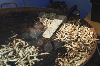 Big pile of fried sprats in a large frying pan, photo with selective focus