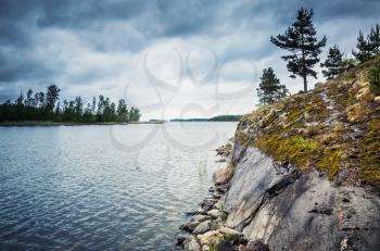 Ladoga lake landscape. Pine trees growing on coastal rocks under dark dramatic cloudy sky. Tonal correction photo filter effect