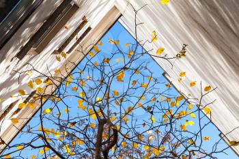 Autumn in the city, abstract photo background. Yellow leaves on tree branches over blue sky near living house corner