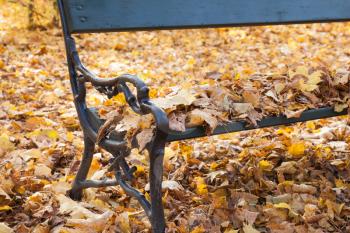 Vintage park bench with bright yellow autumn leaves