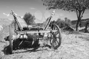 Empty old rural wooden wagon, close up black and white photo