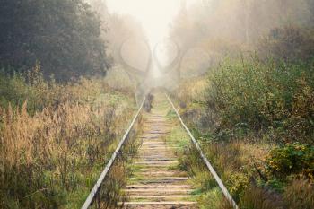 Empty railway goes through foggy forest in morning, vintage toned photo background with tonal correction, old style effect
