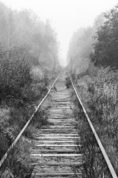 Empty railway goes through foggy forest in morning, vertical black and white photo