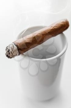Handmade cigar lays on white coffee cup, close up photo with selective focus over white background 