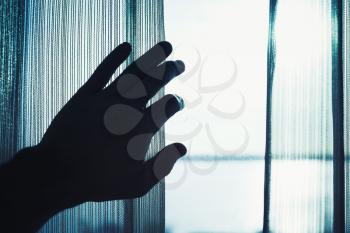 Male hand opens tulle on window with bright daylight outside, blue toned photo