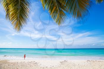 Tropical beach background. White sand, azure water and palm tree branches over sky.  Caribbean Sea coast, Dominican republic, Saona island resort