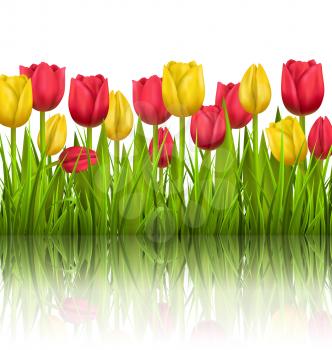 Green grass lawn with yellow and red tulips sunlight and reflection on white. Floral nature flower background