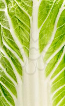 Green cabbage macro texture. Close-up photo. Fresh vegetables.