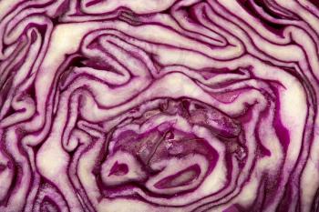 Closeup view of fresh cabbage cut