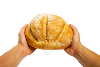Baker hands holding fresh bread. Isolated on white