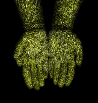 Opened hands with green grass covering