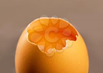 Close-up broken egg isolated on gray background