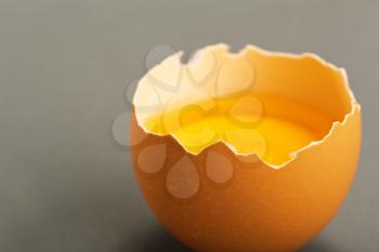 Close-up broken egg isolated on gray