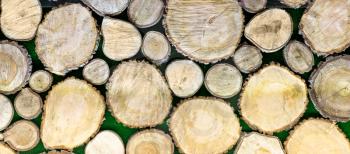 Background of wooden logs closeup