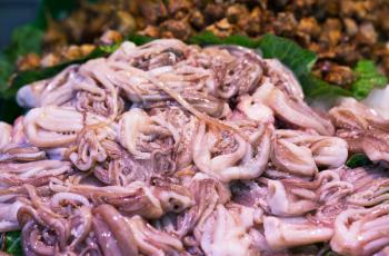 Heap of small octopus in seafood market