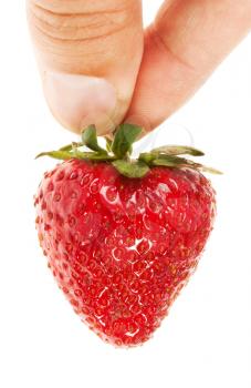 Hand holding ripe strawberry. Isolated on white