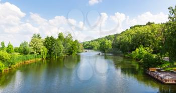 River in the green spring park. Up view