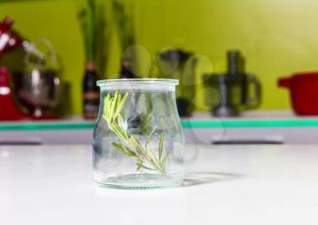 Rosemary twig in the jar in the kitchen
