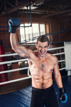 Boxer with an angry face has raised a hand up. Fighting ring on the background. Boxing power.  Blue  boxing gloves.