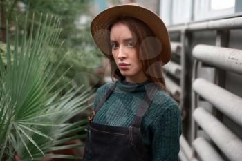 Beautiful female gardener in hat and apron against green plants in greenhouse.