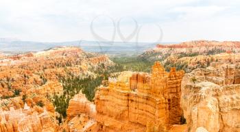 Landscape of Bryce Canyon from the top of mountain, National Park, Utah, USA