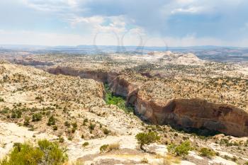 Uneven vegetation terrain with deep canyon, rocks and mountains