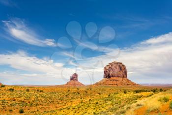 Rare vegetation in desert of Monument Valley National Tribal Park, Navajo, Utah USA