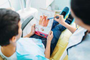 Female dentist shows structure of the tooth to little boy in a dental chair, professional pediatric dentistry, children stomatology