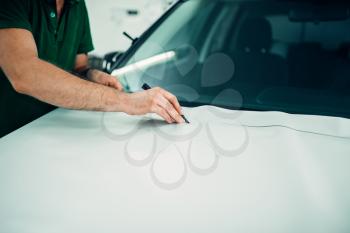 Professional automobile paint protection film installation process. Worker hands prepares protect coating against chips and scratches